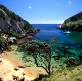 Great Barrier Island, New Zealand<br />photo credit: aucklandsphere.org